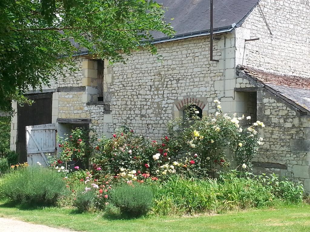 Bed and Breakfast La Cle Des Jardins Nouâtre Exterior foto