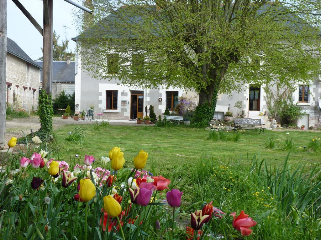 Bed and Breakfast La Cle Des Jardins Nouâtre Exterior foto